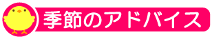 季節のアドバイス