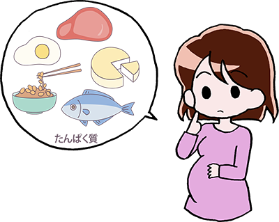 たんぱく質について考える妊婦さんのイラスト